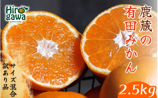 鹿蔵の 有田 みかん 訳あり 2.5kg 光センサー 選果 / 温州みかん 有田みかん 甘い 家庭用 和歌山 柑橘 ※11月より順次発送予定 ※北海道・沖縄・離島への配送不可 【ikd004-cm-2d5-novB】