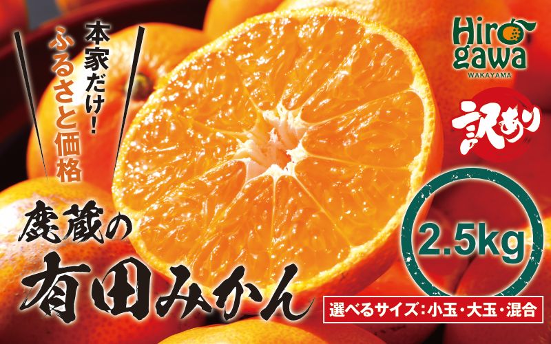 鹿蔵の 有田 みかん 訳あり 2.5kg 光センサー 選果 / 温州みかん 有田みかん 甘い 家庭用 和歌山 柑橘 ※2026年11月より順次発送予定 ※北海道・沖縄・離島への配送不可 【ikd004-cm-2d5-novC】