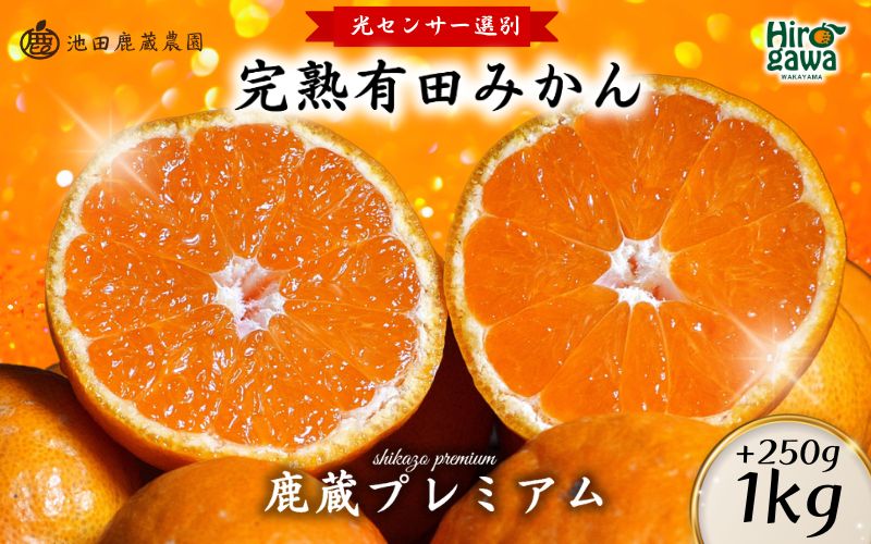 鹿蔵の 有田 みかん プレミアム 1kg+250g(傷み補償分) 光センサー 選果 / 温州みかん 有田みかん 甘い 高級 厳選 和歌山 柑橘 ※11月中旬より1月下旬に順次発送 ※北海道・沖縄・離島への配送不可 【ikd004-prem-1B】