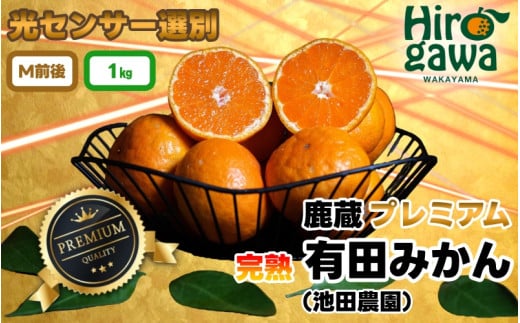 鹿蔵の 有田 みかん プレミアム 1kg+250g(傷み補償分) 光センサー 選果 / 温州みかん 有田みかん 甘い 高級 厳選 和歌山 柑橘 ※11月中旬〜1月下旬に順次発送 ※北海道・沖縄・離島への配送不可 【ikd004-prem-1B】