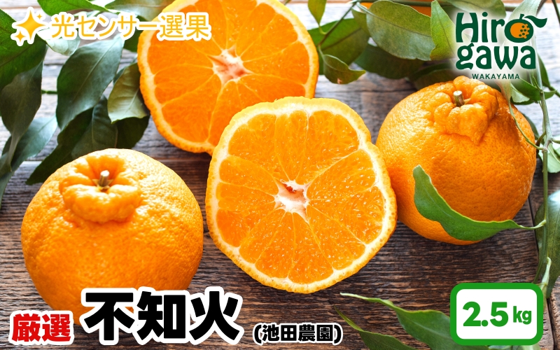 不知火 （ しらぬい ） 2.5kg+250g（痛み補償分） 厳選 光センサー / デコポン 高級 甘い 和歌山 柑橘 ※2月上旬～3月下旬に順次発送 ※北海道・沖縄・離島への配送不可 【ikd010-p-2d5A】
