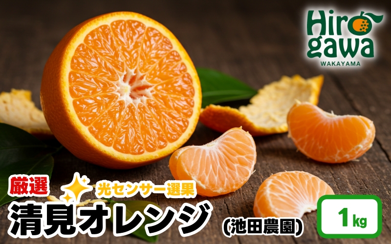 清見 オレンジ 厳選 1kg+250g（痛み補償分） 光センサー / 清見オレンジ 清見タンゴール きよみ 清美 甘い 高級 和歌山 柑橘 ※2月上旬～6月上旬に順次発送 ※北海道・沖縄・離島への配送不可 【ikd011-p-1B】