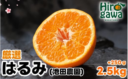 はるみ 厳選 2.5kg+250g（痛み補償分） 光センサー / デコポン 姉妹品種 甘い 高級 和歌山 有田 柑橘 ※2月上旬〜3月下旬に順次発送予定 ※北海道・沖縄・離島への配送不可 【ikd013-p-2d5A】