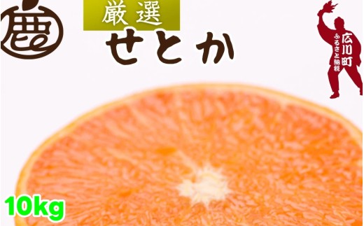 厳選 せとか 10kg+250g（痛み補償分） 光センサー / 高級 甘い 和歌山 柑橘 ※2月中旬～3月下旬頃発送 ※北海道・沖縄・離島への配送不可 【ikd014-p-10A】
