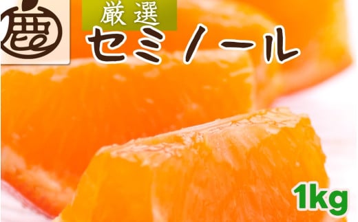 セミノール オレンジ 厳選 1kg+250g（痛み補償分） 光センサー / みかん 甘い 高級 柑橘 晩柑 和歌山 有田 ※4月上旬～6月下旬ごろに順次発送 ※北海道・沖縄・離島への配送不可 【ikd016-p-1】