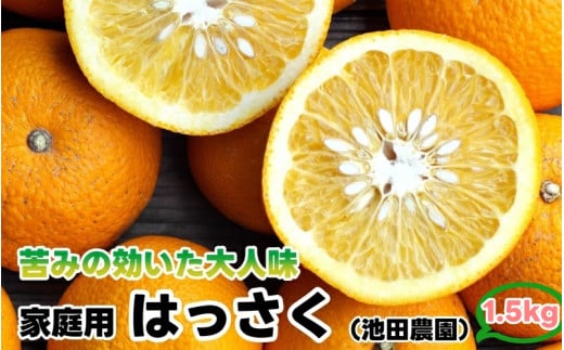 はっさく 1.5kg+250g（痛み補償分） 家庭用 光センサー / 八朔 訳あり 甘い 和歌山 有田 柑橘 ※1月上旬〜4月上旬頃に順次発送予定 ※北海道・沖縄・離島への配送不可 【ikd021-c-1d5】