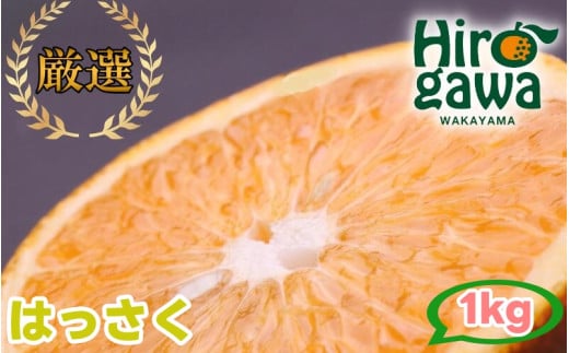 はっさく 1kg+250g（痛み補償分） 厳選 光センサー / 八朔 高級 甘い 和歌山 有田 柑橘 ※1月上旬〜4月上旬頃に順次発送予定 ※北海道・沖縄・離島への配送不可 【ikd021-p-1】