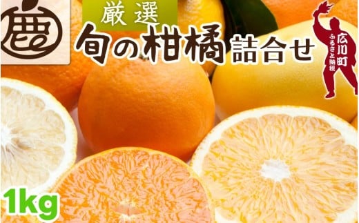 柑橘 詰合せ 1kg+250g（痛み補償分） 厳選 光センサー / 高級 みかん 不知火 清見 八朔 伊予間 セミノール レモン ３種類以上 詰め合わせ 晩柑 ※1月上旬～6月上旬頃に順次発送 ※北海道・沖縄・離島への配送不可 【ikd049-p-1A】