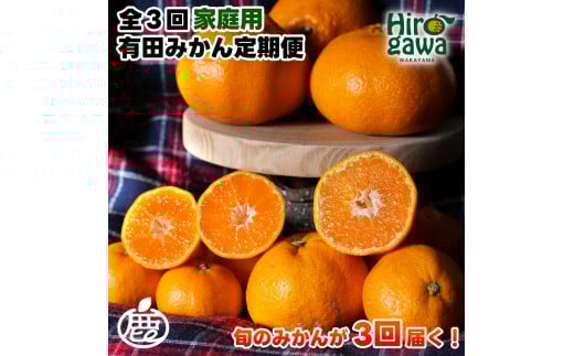 家庭用 有田 みかん 定期便 【1kg×3回】 / 温州みかん 有田みかん 甘い 訳あり 和歌山 有田 1kg ※北海道・沖縄・離島への配送不可 【ikd050-mikc-1-3】 1kg×3回