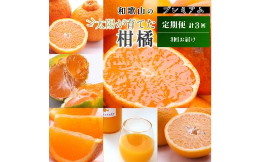 【4～6月】柑橘 定期便 S 家庭用 【全3回】【和歌山】 ※北海道・沖縄・離島への配送不可 / 定期便 フルーツ はっさく せとか 不知火 清見オレンジ カラマンダリン みかんゼリー ハウスみかん ゆら早生 有田みかん  //teiki 【ikd050-s46-c】 【4～6月】家庭用24000円