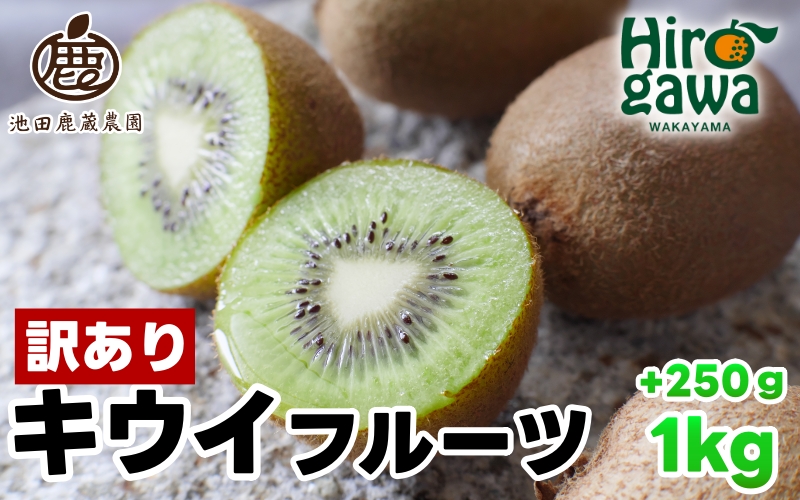 キウイ 家庭用 1kg+250g（痛み補償分） / キウイフルーツ 訳あり 和歌山 ※2025年11月中旬～2026年6月下旬に順次発送 ※北海道・沖縄・離島への配送不可【ikd505-c-1A】