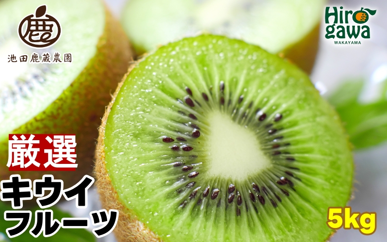 キウイ 厳選 5kg+250g（痛み補償分） / キウイフルーツ 高級 和歌山 ※2025年11月中旬～2026年6月中旬に順次発送 ※北海道・沖縄・離島への配送不可【ikd505-p-5B】