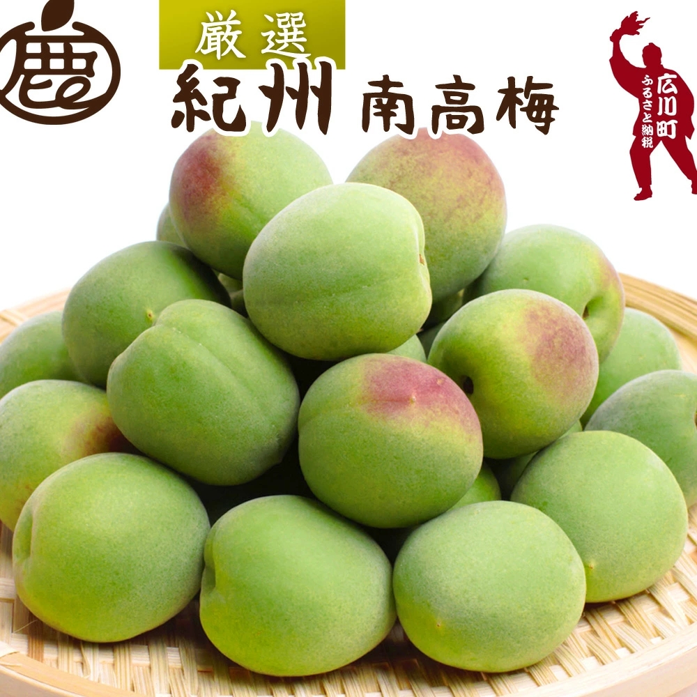 青梅 厳選 南高梅 0.5kg+250g（痛み補償分） / 梅 梅ジュース 梅酒 梅干し 高級 和歌山 ※5月~6月発送予定 ※北海道・沖縄・離島への配送不可 【ikd508-p-0d5G】