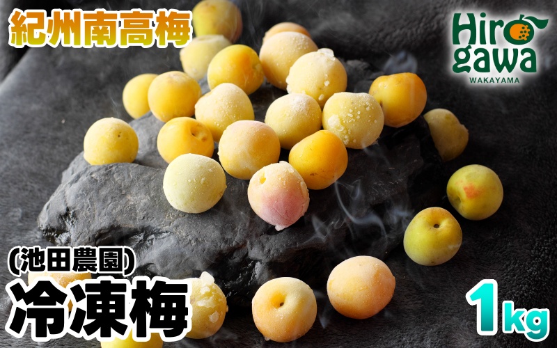 冷凍 梅 1kg 家庭用 / 南高梅 訳あり 黄梅 完熟梅 梅ジュース 梅酒 和歌山 ※7月上旬より翌年3月末まで順次発送 ※北海道・沖縄・離島への配送不可 【ikd510-c-1B】