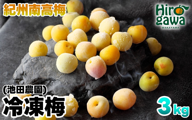 冷凍 梅 3kg 家庭用 / 南高梅 訳あり 黄梅 完熟梅 梅ジュース 梅酒 和歌山 ※7月上旬より翌年3月末まで順次発送 ※北海道・沖縄・離島への配送不可 【ikd510-c-3B】