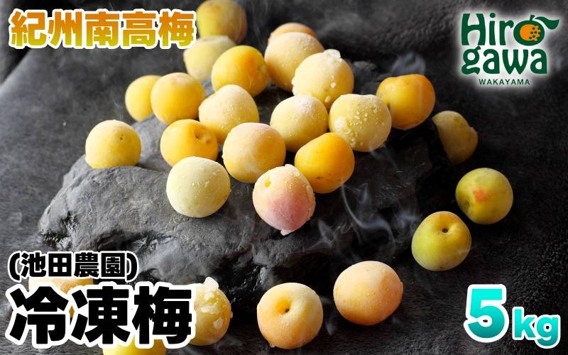 冷凍 梅 5kg 家庭用 / 南高梅 訳あり 黄梅 完熟梅 梅ジュース 梅酒 和歌山 ※7月上旬より翌年3月末まで順次発送 ※北海道・沖縄・離島への配送不可 【ikd510-c-5A】