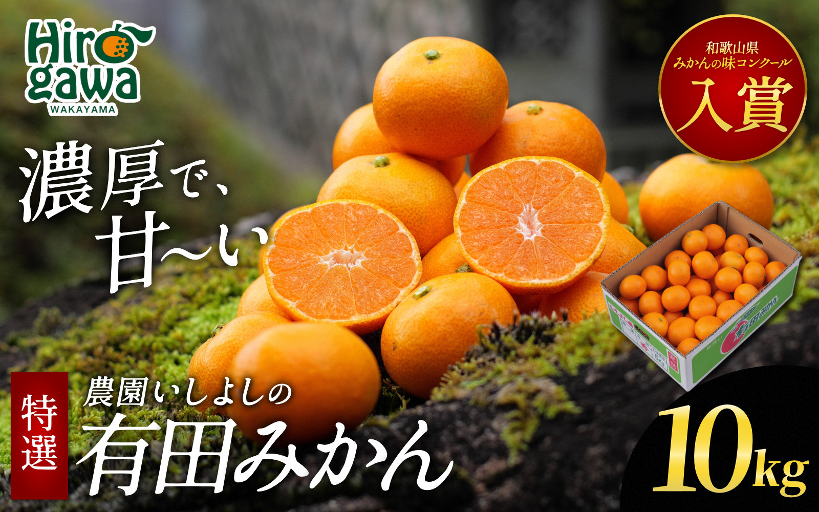 有田 みかん 特選 10kg 【 創業120年 農家直送 】 / 温州みかん 有田みかん 甘い 高級 和歌山 柑橘 ※11月中旬～2月上旬に順次発送 【isy004-r-10B】