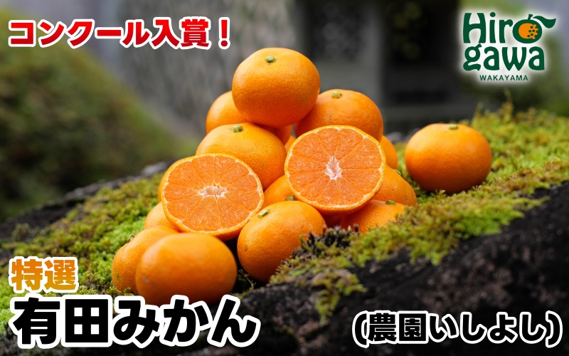 有田 みかん 特選 7.5kg【 創業120年 農家直送 】 / 温州みかん 有田みかん 甘い 高級 和歌山 柑橘 ※11月中旬～1月中旬に順次発送 【isy004-r-7d5C】