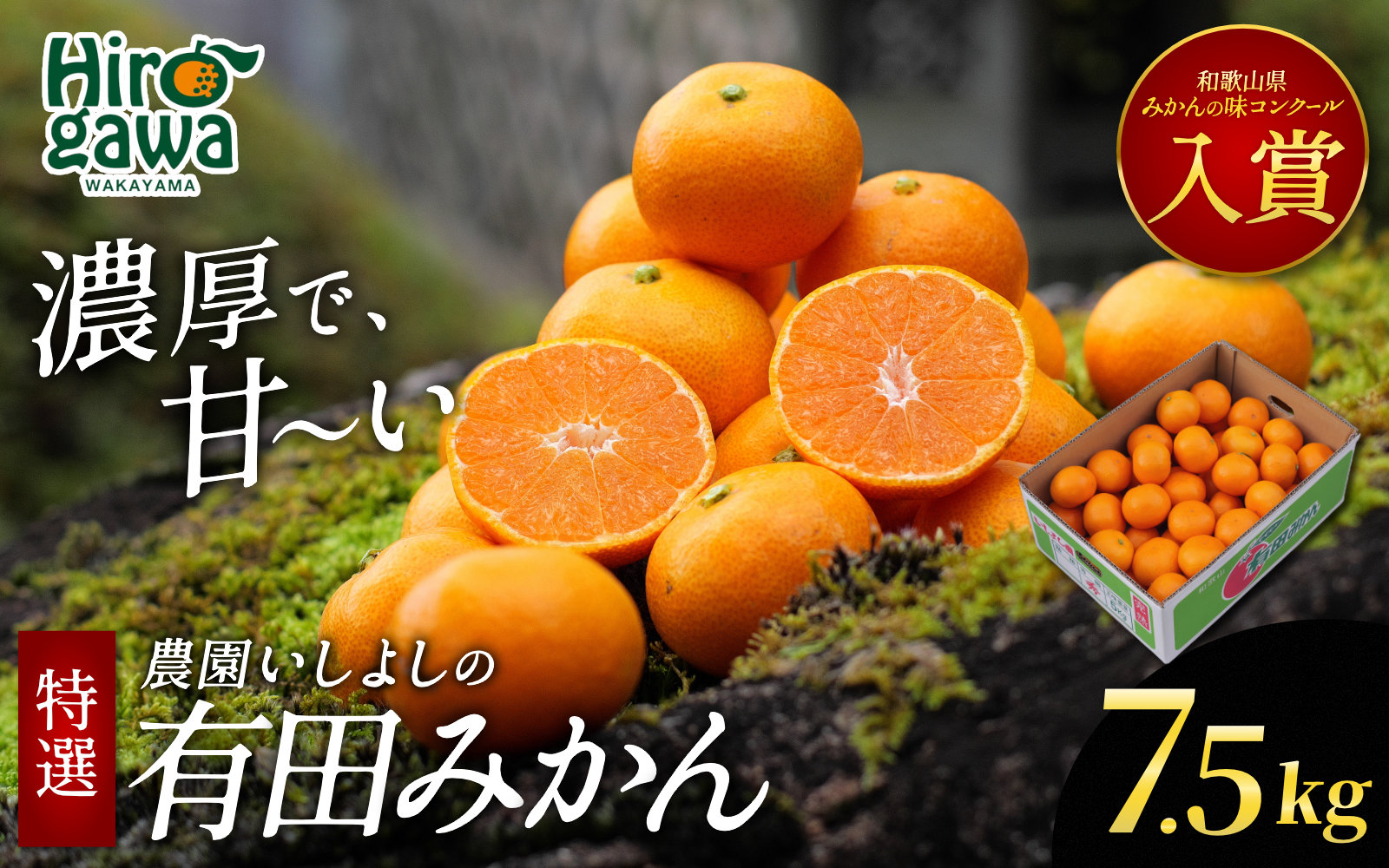 有田 みかん 特選 7.5kg【 創業120年 農家直送 】 / 温州みかん 有田みかん 甘い 高級 和歌山 柑橘 ※11月中旬～2月上旬に順次発送 【isy004-r-7d5C】