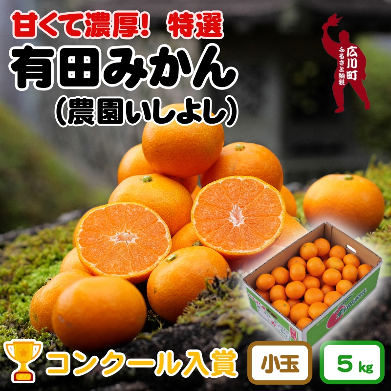 有田 みかん 小玉 5kg 【 創業120年 農家直送 】 / 温州みかん 有田みかん 甘い 小粒 和歌山 柑橘 ※11月中旬～1月中旬に順次発送 【isy004-s-5A】