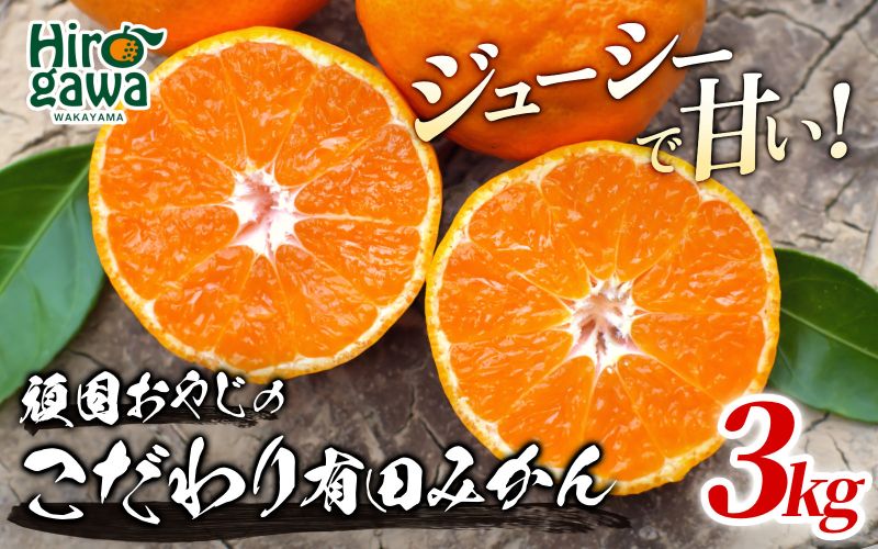 頑固オヤジの 有田 みかん 3kg 家庭用 / 温州みかん 有田みかん 甘い 訳あり 和歌山 柑橘 ※11月中旬～1月下旬に順次発送 【krf004-c-3A】