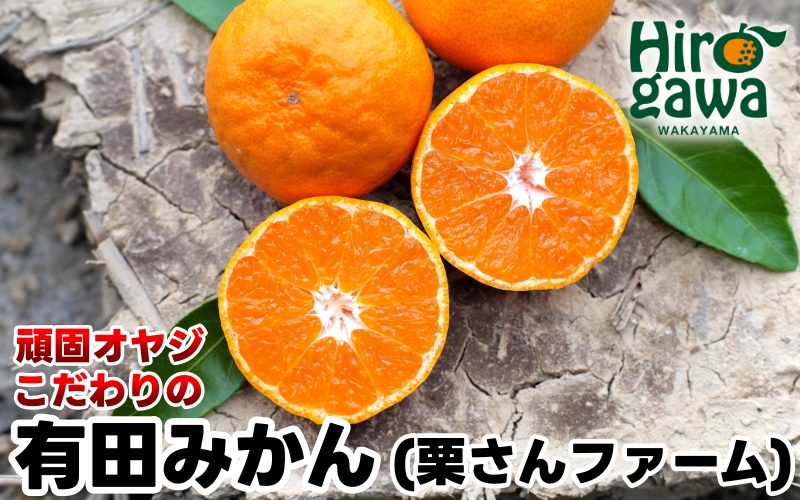 頑固オヤジの 有田 みかん 10kg / 温州みかん 有田みかん 甘い 和歌山 柑橘 ※11月中旬～1月上旬に順次発送 【krf004-r-10A】