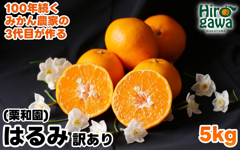 はるみ 5kg 家庭用 / 訳あり 甘い 和歌山 柑橘 ※2月中旬〜3月下旬に順次発送 【krw013-c-5】