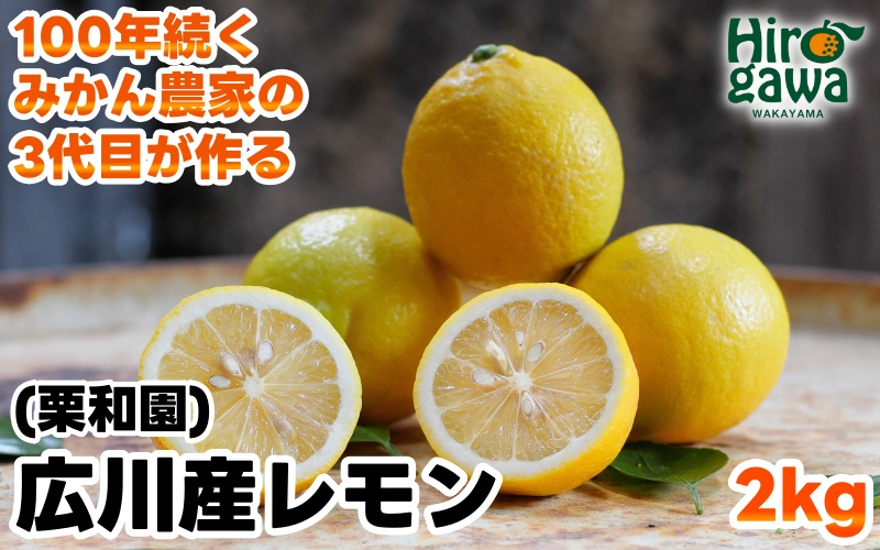 レモン 2kg 国産 / 和歌山 柑橘 ※2月上旬〜3月中旬に順次発送 【krw040-r-2】