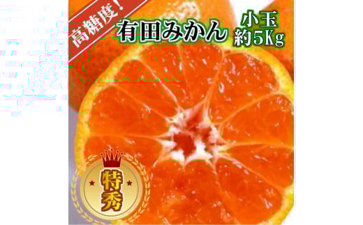 高糖度 有田みかん 特秀品 5kg 小玉 S～Mサイズ ※2025年10月上旬～12月下旬頃発送予定  / みかん ミカン 有田みかん 温州みかん 柑橘 有田 和歌山 果物 フルーツ【ngt004-p-5sm】