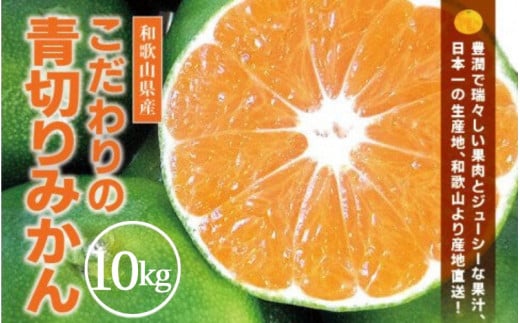 青切り みかん 10kg / 極早生 極早生みかん 温州みかん 甘い 家庭用 和歌山 柑橘 ※2026年9月下旬～10月順次発送 ※北海道・沖縄・離島への配送不可【nuk001-r-10B】