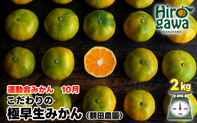 【先行予約】極早生 みかん 家庭用 2kg / 極早生みかん 温州みかん 甘い 家庭用 和歌山 柑橘 ※2026年10月上旬～11月上旬順次発送 ※北海道・沖縄・離島への配送不可 【nuk003-r-2A】