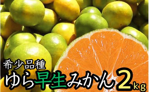 【先行予約】由良早生 みかん 家庭用 2kg / ゆら早生 温州みかん 極早生 甘い 家庭用 和歌山 柑橘 ※2026年10月上旬～11月上旬順次発送 ※北海道・沖縄・離島への配送不可 【nuk003-yura-2】