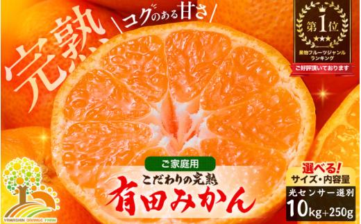 有田 みかん 訳あり 10kg 光センサー 選別 / 温州みかん 有田みかん 甘い 家庭用 和歌山 柑橘 ※1月順次発送 ※北海道・沖縄・離島への配送不可【nuk004-c-10-janF】