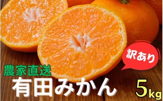 農家直送 有田 みかん 訳あり 5kg 光センサー 選別 / 温州みかん 有田みかん 甘い 家庭用 和歌山 柑橘 ※11月中旬～1月中旬に順次発送 ※北海道・沖縄・離島への配送不可 【nuk004-noka-c5A】
