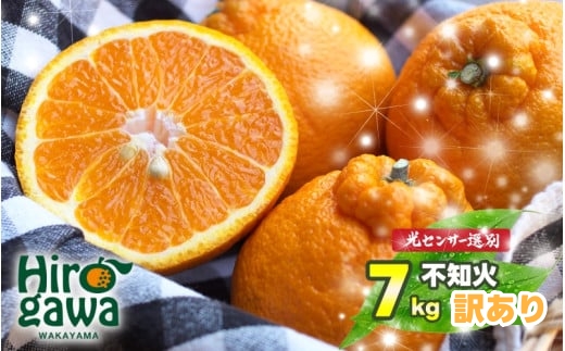 不知火（デコポン） 訳あり 7kg （サイズ混合） ※2月中旬～4月中旬に順次発送予定 ※北海道・沖縄・離島への配送不可 / しらぬい 柑橘類 果物 和歌山 有田 広川【nuk010-noka-7】