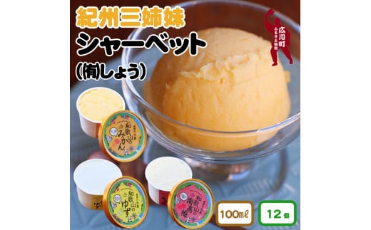 紀州三姉妹（シャーベットのセット） ≪ みかん ゆず 梅 ≫ / 大容量 ギフト お中元 母の日 父の日 敬老の日 アイス アイスクリーム ジェラート シャーベット ソルベ セット 熨斗 クール 冷凍便 和歌山 お土産【sho115-k-12】