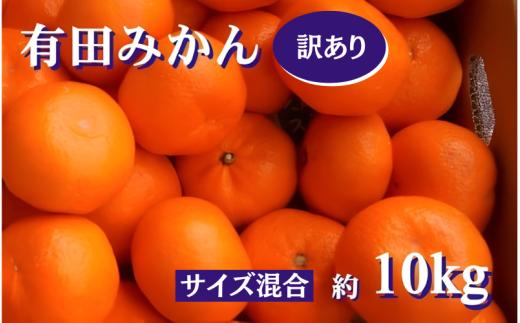 紀州 有田 みかん 訳あり キズ 10kg サイズ混合 家庭用 ※11月下旬～翌年1月中旬頃に順次発送予定 ※北海道・沖縄・離島配送不可 / 温州みかん 甘い 柑橘 果物 和歌山【sml004-c-10A】