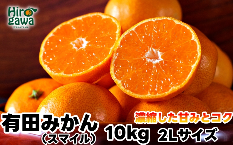 有田 みかん 10kg 秀品 (2Lサイズ) / 温州みかん 有田みかん 甘い 和歌山 柑橘 ※2026年11月下旬～2027年1月中旬頃に順次発送予定 【sml004-r-10-2lB】