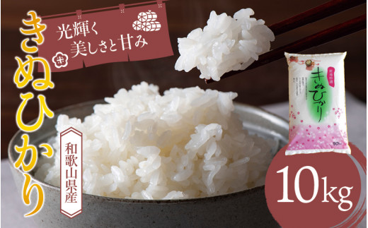 ▼和歌山県産 キヌヒカリ 10kg（2025年産・令和7年産）産地直送  【sml400-kinu-10D】