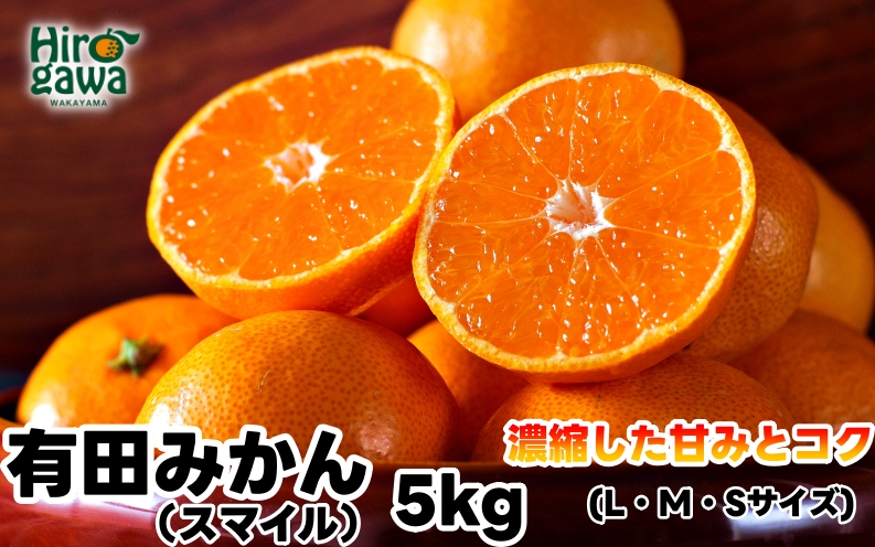 有田 みかん 5kg 秀品 / 温州みかん 有田みかん 甘い 和歌山 柑橘 ※11月下旬～1月中旬に順次発送 【sml004-r-5B】