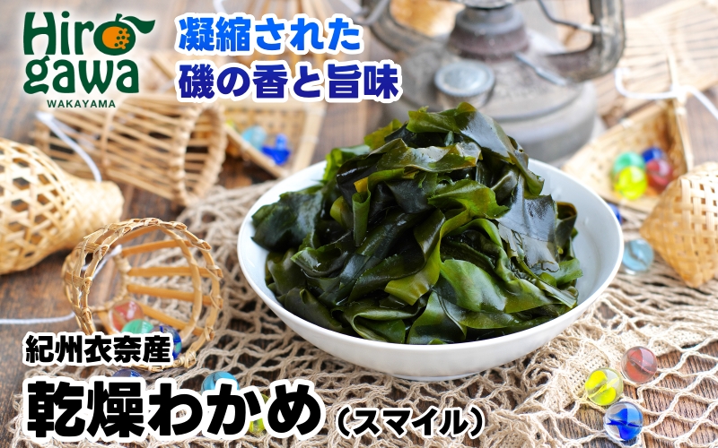 ▼紀州衣奈産乾燥わかめ 150g × 5パック(2026年産) /わかめ 海草 和歌山 国産 味噌汁 具材【sml213-wak-5】