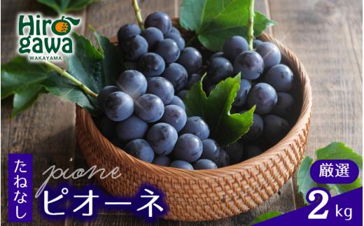 ピオーネ たねなし 2kg 厳選 / ぶどう 種無し 甘い 高級 和歌山 ※2026年8月中旬～9月中旬に順次発送 ※北海道・沖縄・離島への配送不可 【tec511-p-2B】