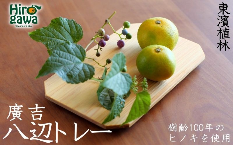 廣吉八辺トレー　小 / ヒノキ 【ths926-hachi-s】