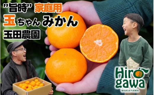 有田 みかん 旨時 体に優しい玉ちゃんみかん 10kg / 温州みかん 有田みかん 甘い 和歌山 柑橘 ※12月初旬～2月中旬に順次発送 【tmd004-cu-10】