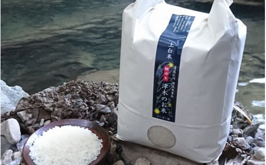 【25年度新米】津木のお米 4.5kg【tug400-4d5A】