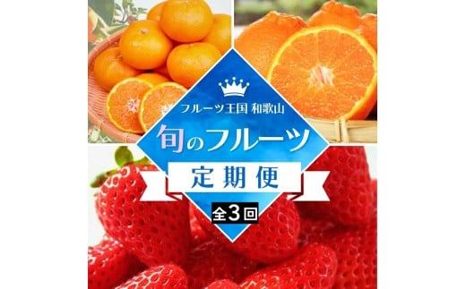 【全3回定期便】 フルーツ大国 和歌山 よりお届け！旬の フルーツ 定期便 A【田村みかん・まりひめ・紀州デコ】 / 果物 みかん いちご 定期便 ※離島配送不可