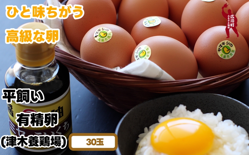 平飼い！高級有精卵 30個入り（Lサイズ） / 玉子 たまご 高級 平飼い 贈答 【ymg609-p-30】