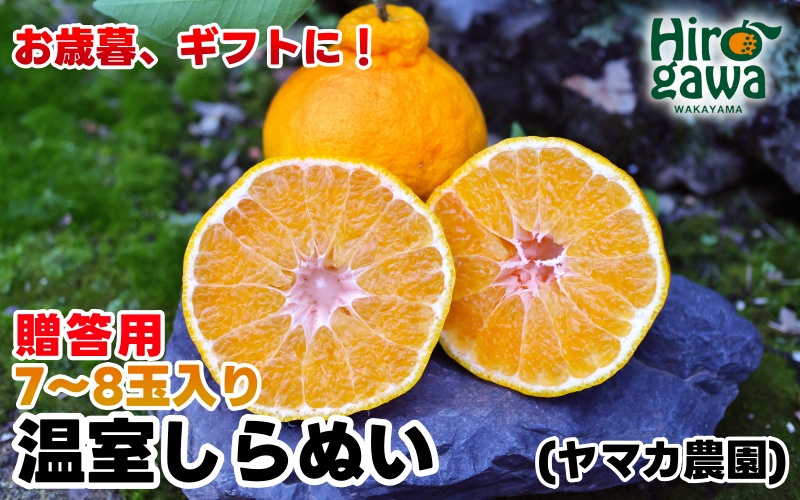 【12月発送】 温室 不知火 （ しらぬい ） 3kg（7〜8玉）化粧箱入 / デコポン ハウス栽培 甘い 和歌山 柑橘 お歳暮 ※11月下旬〜12月下旬に順次発送 【ymk006-p-3】