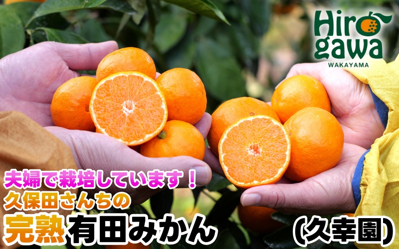 完熟 有田 みかん サイズ混合 10kg 久幸園 / 温州みかん 有田みかん 甘い 家庭用 和歌山 柑橘 ※11月〜順次発送予定 【hsk004-r-10B】