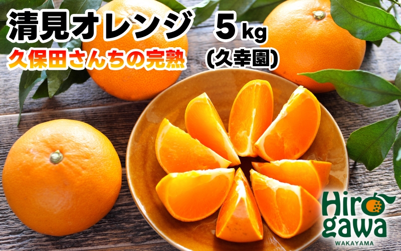 完熟 清見 オレンジ 5kg 久幸園 / 清見オレンジ 清見タンゴール きよみ 清美 甘い 高級 和歌山 柑橘 ※4月上旬～5月下旬に順次発送 【hsk011-r-5C】